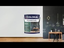 Colorin Sintetico Pizarron Verde 1 L