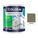 Thermocontrol Flex Cemento  1 L