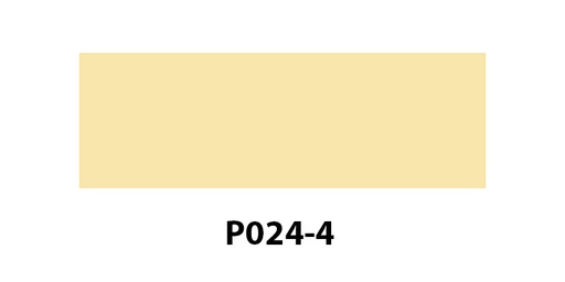 [P0244] P024-4