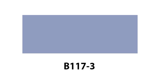 [B1173] B117-3