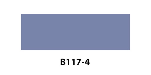 [B1174] B117-4