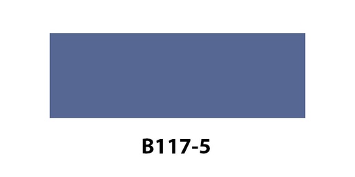 [B1175] B117-5