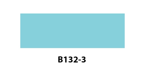 [B1323] B132-3