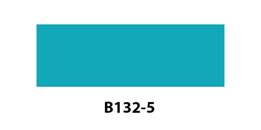 [B1325] B132-5