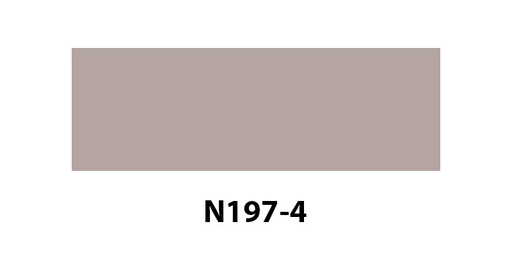 [N1974] N197-4