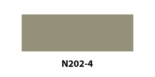 [N2024] N202-4